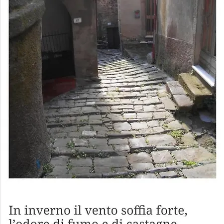 Apartment Casa *